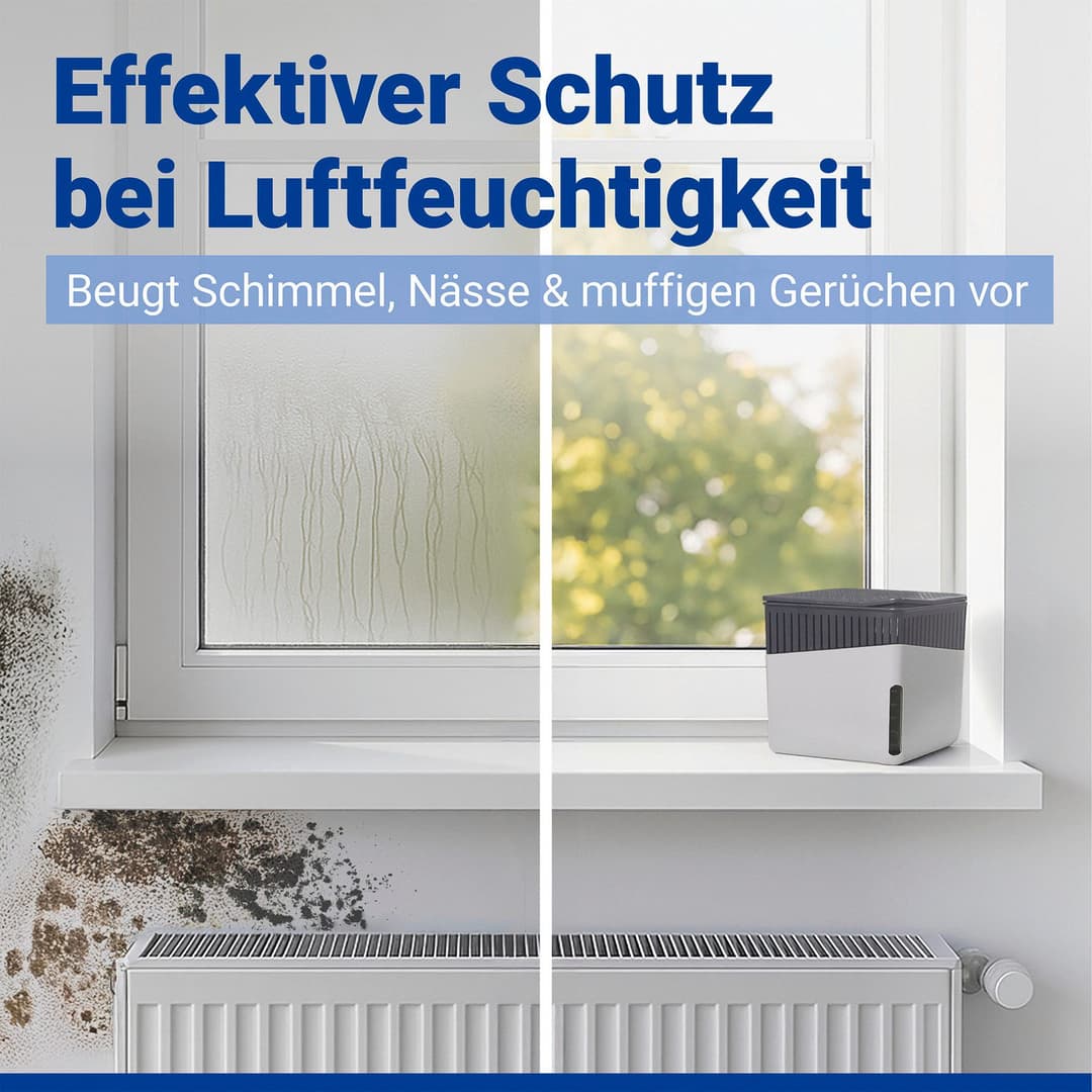 WENKO Luftentfeuchter Cube | Grau