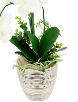 Kunstblume Arrangement Orchidee/Gras | Weiß