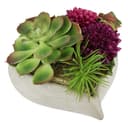 Kunstblume Succulenten/Zierkohl | Braun
