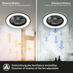OTTO home Vivienna Deckenleuchte mit Ventilator | Schwarz