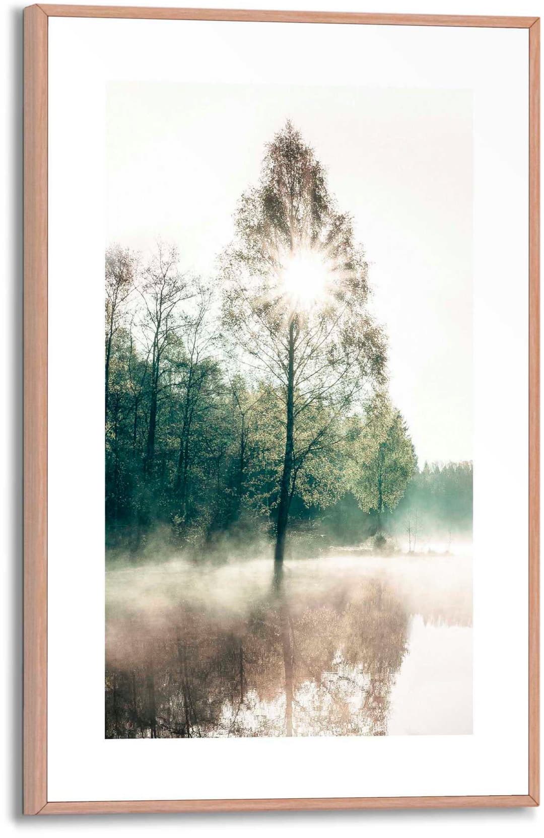 Reinders! Poster Sonne durch die Bäume | Holztöne