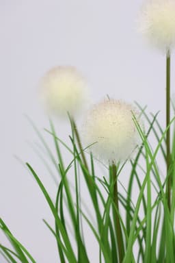 Kunstpflanze Knopfgras | Grün