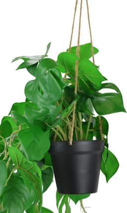 Künstliche Monstera Hängeampel | Grün