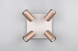 TRIO Leuchten Deckenstrahler MARLEY | Braun