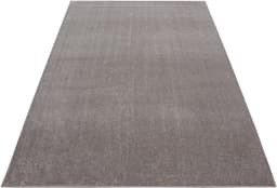 Ayyildiz Teppiche Teppich ATA | Beige