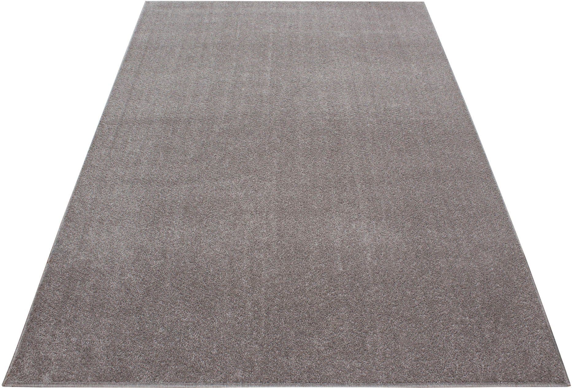 Ayyildiz Teppiche Teppich ATA | Beige