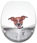 Sanilo WC-Sitz Newspaper | Braun