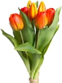 Kunstblume Willa Tulpe | Mehrfarbig