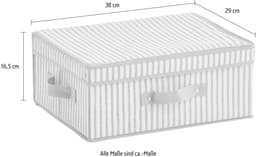 Zeller Present Aufbewahrungsbox Stripes | Beige