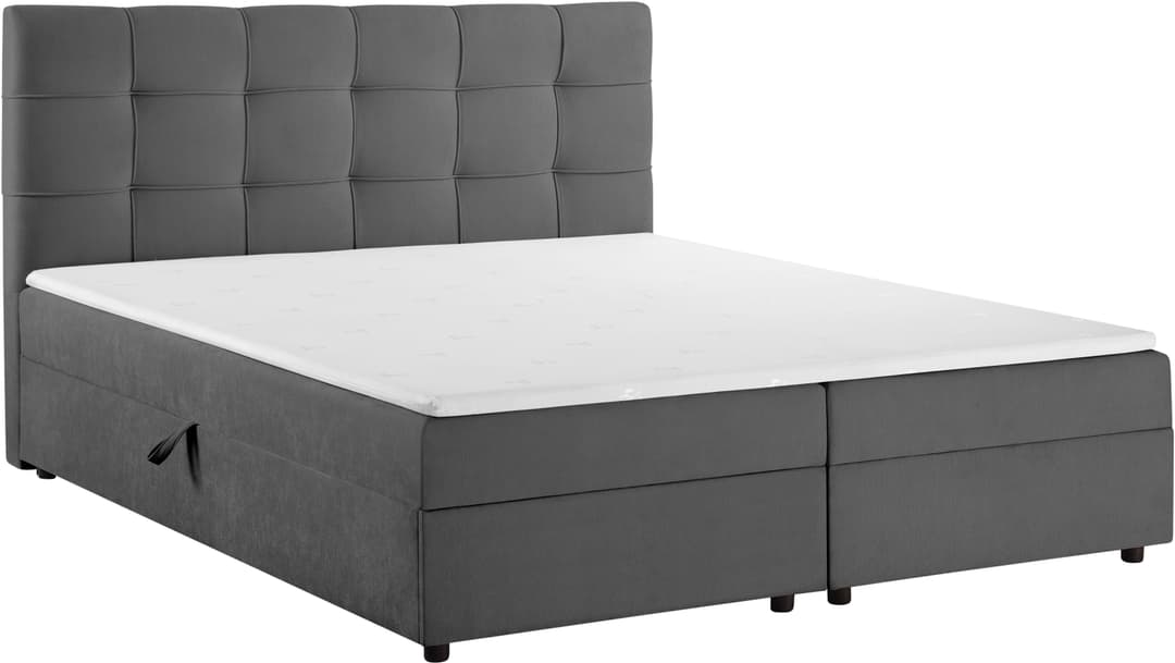 OTTO home Boxbett Tommes | Grau