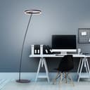 Paul Neuhaus Stehlampe TITUS | Schwarz 2