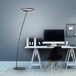 Paul Neuhaus Stehlampe TITUS | Schwarz