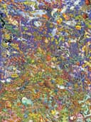 Ravensburger Puzzle Viele bunte Fische | Mehrfarbig 2