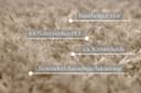 OTTO home Hochflor-Teppich Josetta | Braun 4