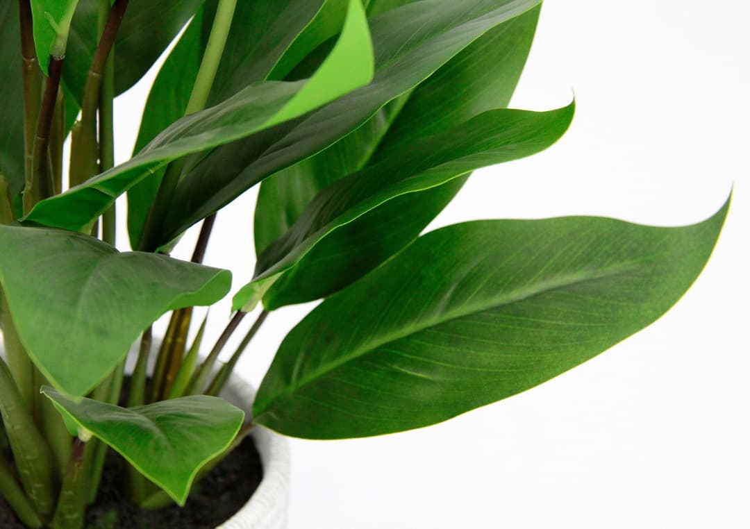 Kunstpflanze Spathiphyllum | Grün