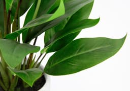 Kunstpflanze Spathiphyllum | Grün