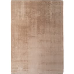 Ayyildiz Teppiche Teppich JOY 1400 | Beige