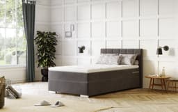 COTTA Boxspringbett Simba | Grau