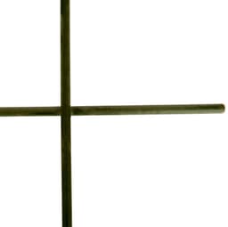Windhager Spalier | Grün