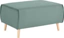 Home affaire Hocker Janek | Grün 2