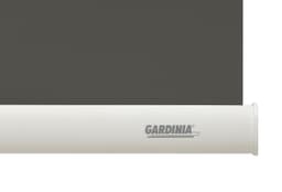 Seitenzugrollo Uni-Rollo | Grau