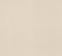 A.S. Création Terra Vliestapete | Beige