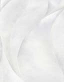 Fashion for walls Vliestapete Guido Maria Kretschmer - Floral | Grau 4