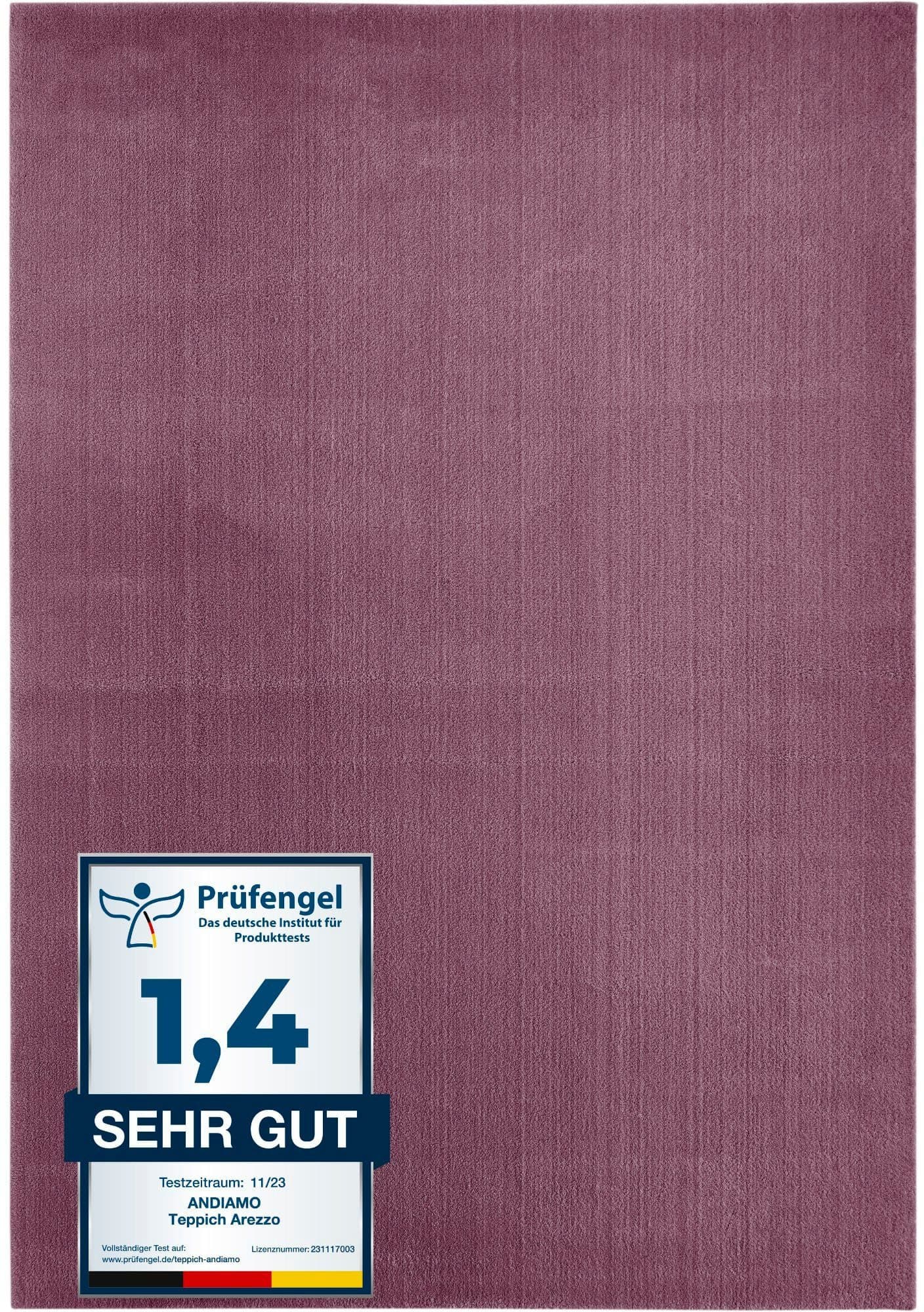 Andiamo Teppich Arezzo | Lila