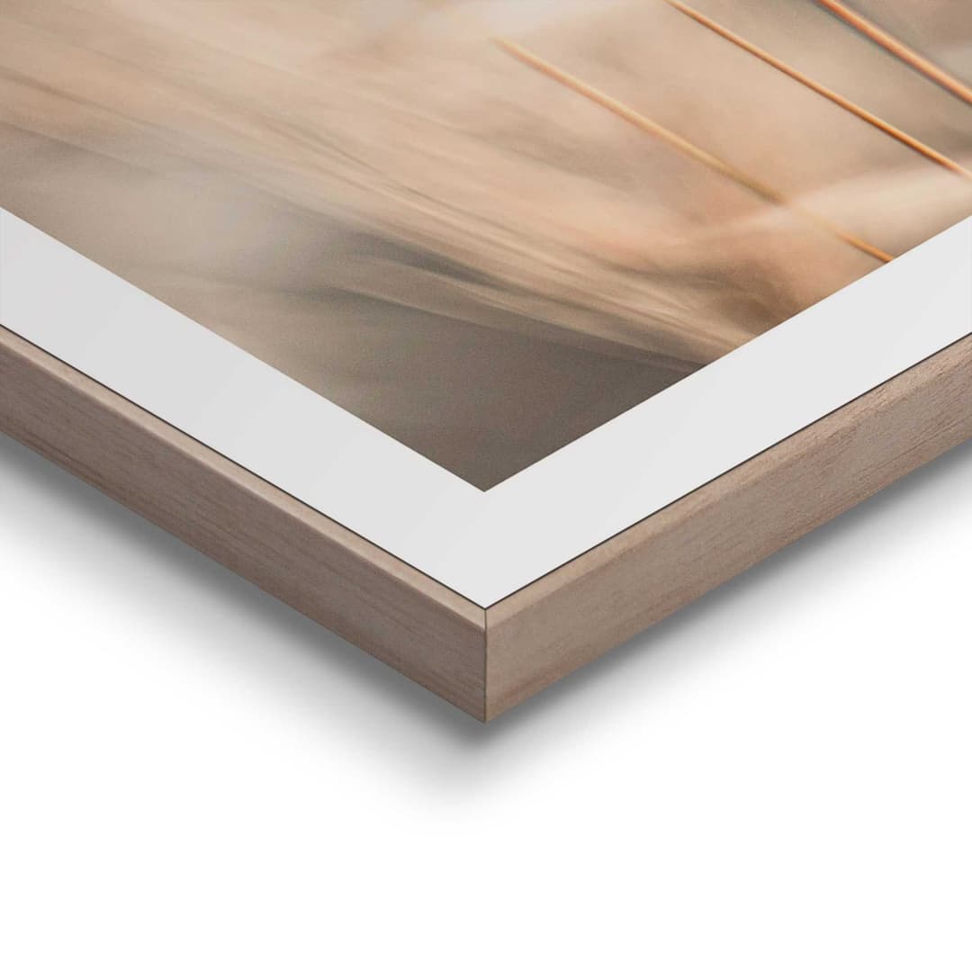 Reinders! Poster Plumes | Beige