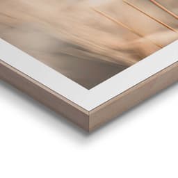 Reinders! Poster Plumes | Beige