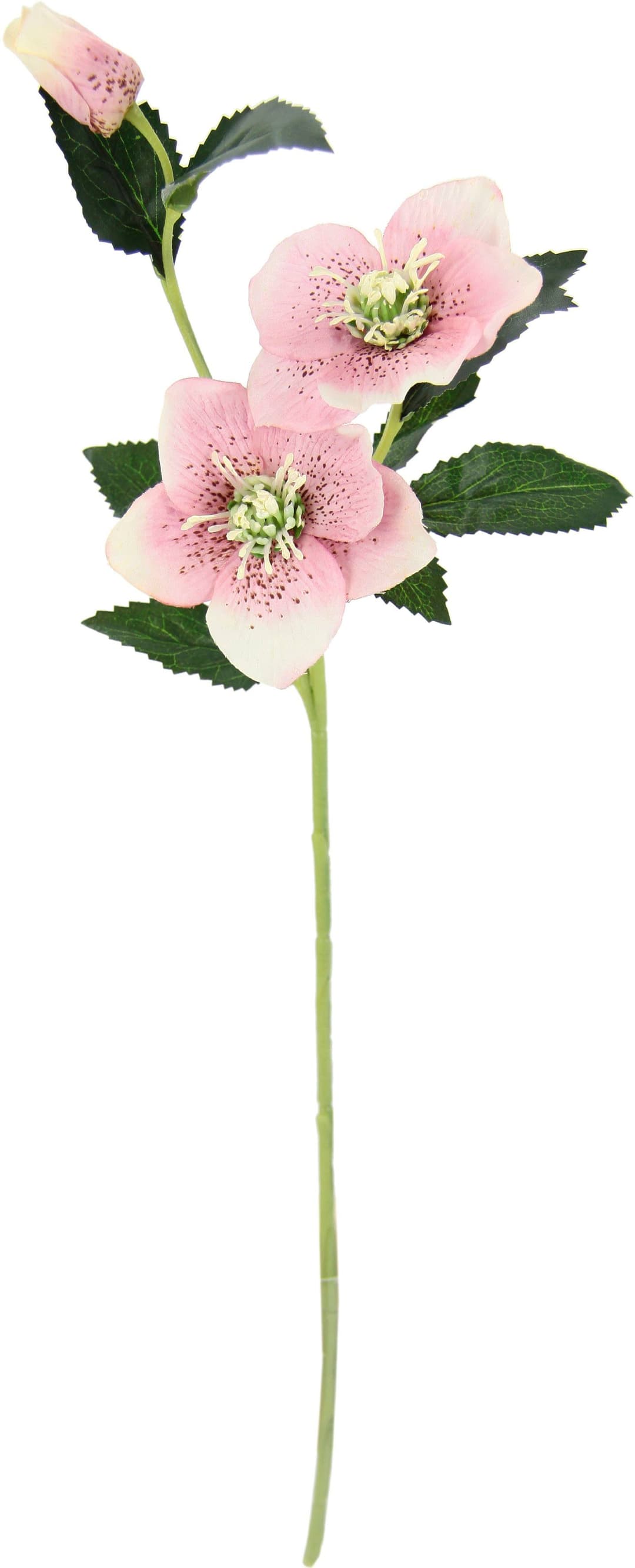 I.GE.A. Kunstblume Christrose | Rosa
