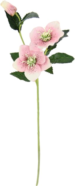 I.GE.A. Kunstblume Christrose | Rosa