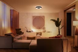 Philips Hue Infuse Deckenleuchte M | Schwarz