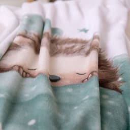 Babydecke babybest Kleiner Igel | Mehrfarbig