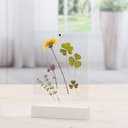 Hama Fotohalter Acryl | Transparent