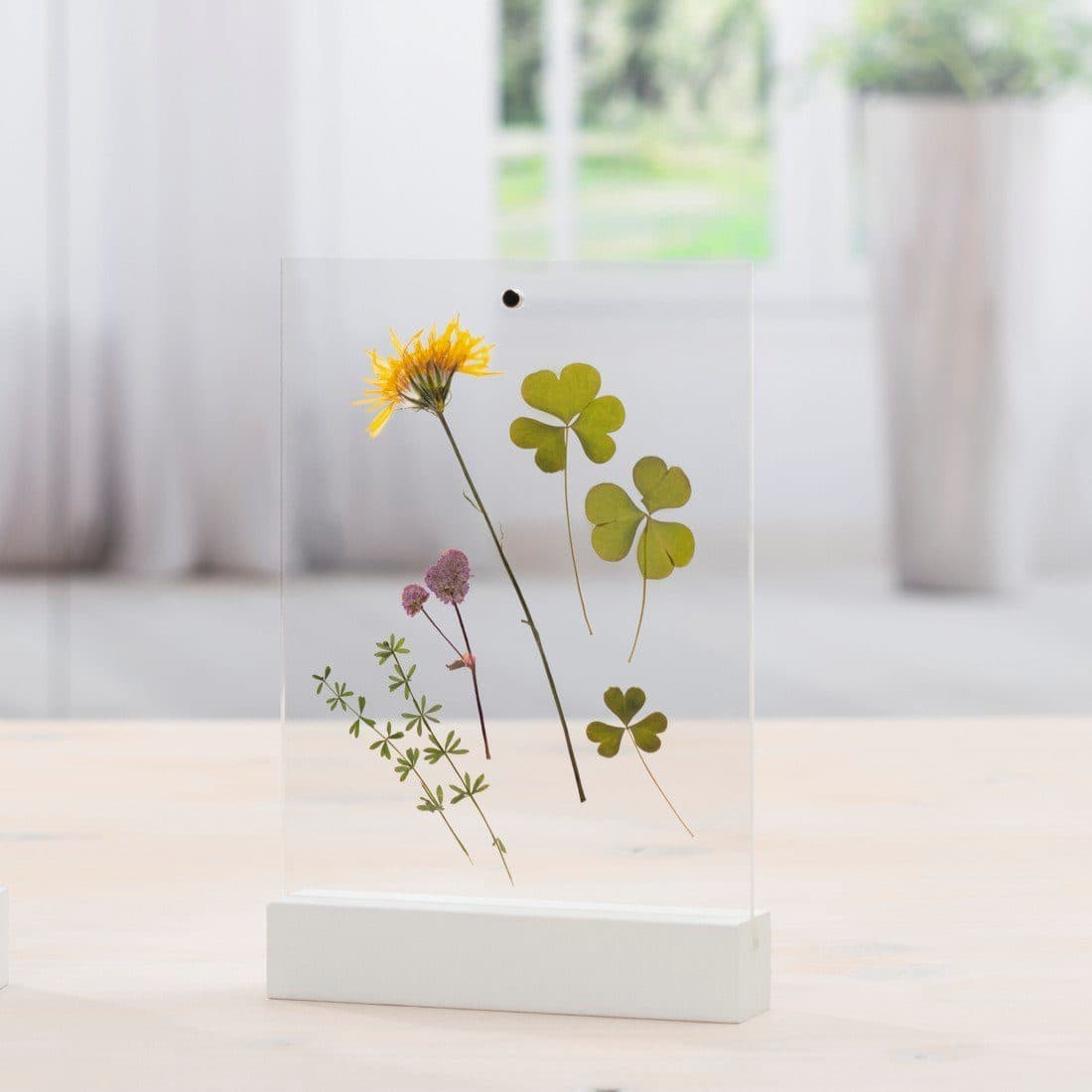 Hama Fotohalter Acryl | Transparent