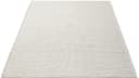 the carpet Teppich Premium Wool | Beige 3