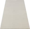 the carpet Teppich Rio | Beige 2