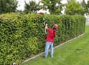 Einhell GE-HH 18/45 Li T-Solo Akku-Heckenschere | Rot 2