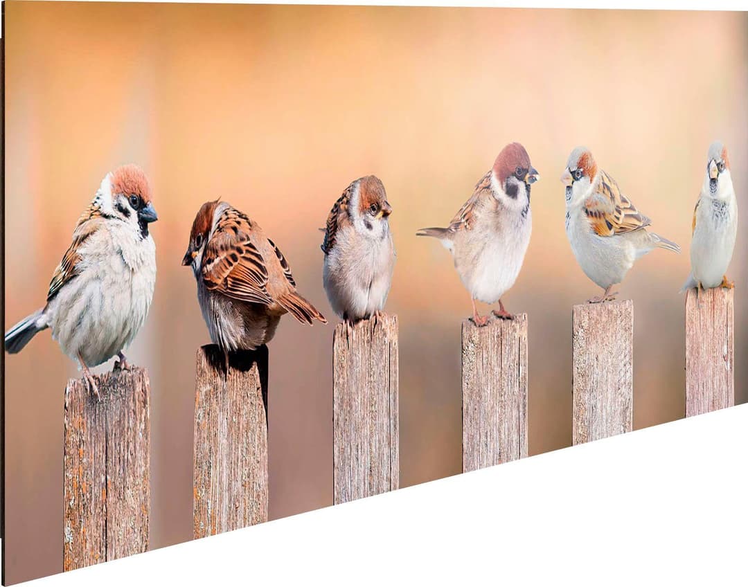 Reinders! Holzbild Deco Panel 30x90 Bird Family | Braun
