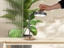 OTTO home LED Tischleuchte Ellvra | Grau
