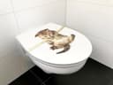 ADOB WC-Sitz Cat | Mehrfarbig 2