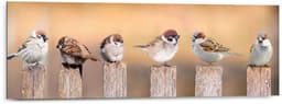 Reinders! Holzbild Deco Panel 30x90 Bird Family | Braun