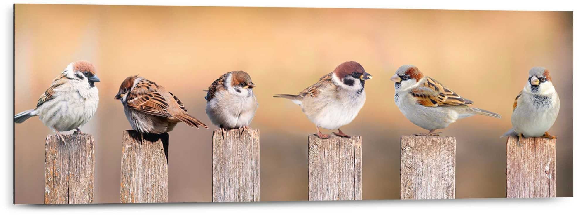 Reinders! Holzbild Deco Panel 30x90 Bird Family | Braun