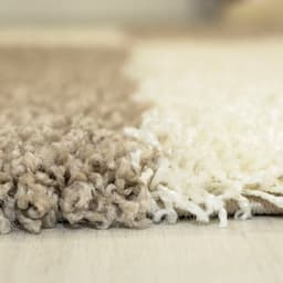 Ayyildiz Teppiche Gala Shaggy 2505 Hochflor-Teppich | Beige