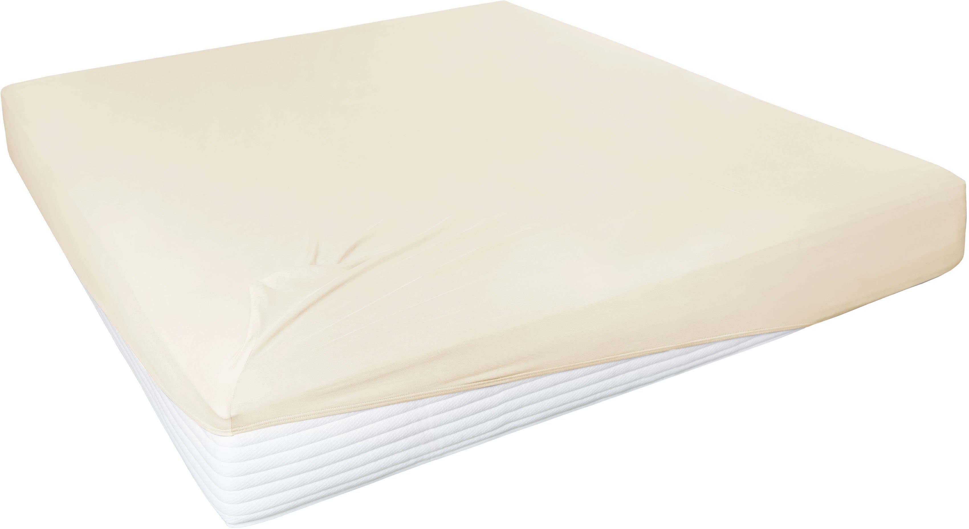 Primera Spannbettlaken Elasthan-Feinjersey | Beige