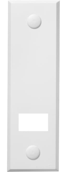 SCHELLENBERG Gurtwickler-Abdeckplatte Standard Maxi | Weiß