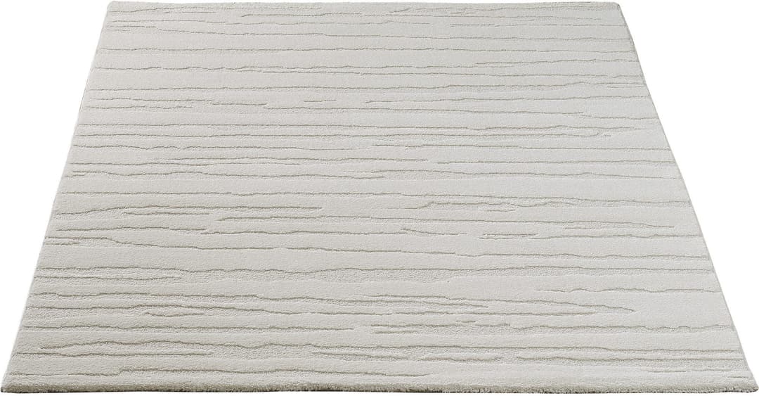 the carpet Teppich Everest | Beige