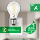 Briloner Leuchten LED-Leuchtmittel A60 | Weiß 5
