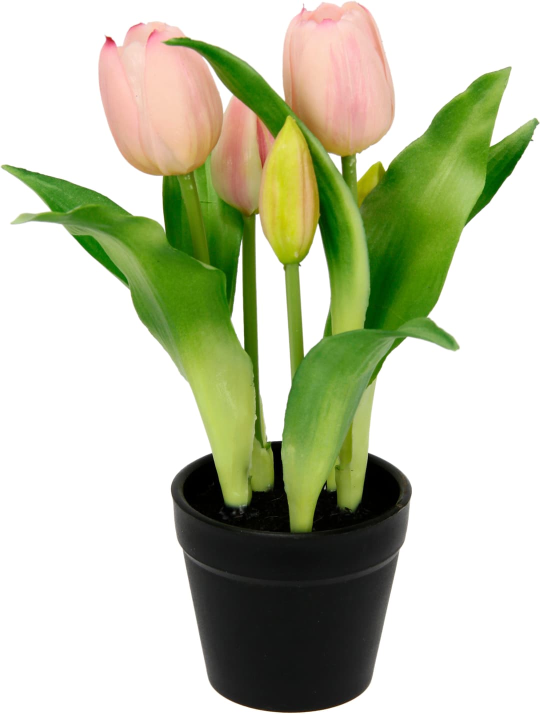 Kunstblume Tulpen | Rosa